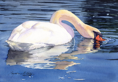 Mute Swan 7x10 $490 at Hunter Wolff Gallery