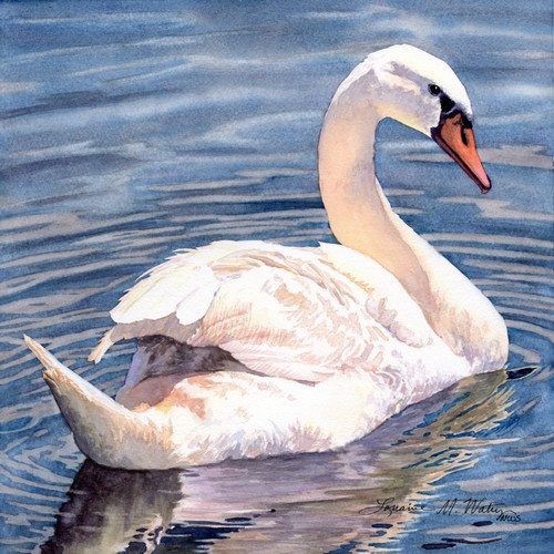 Mute Swan 10x10 $700 at Hunter Wolff Gallery