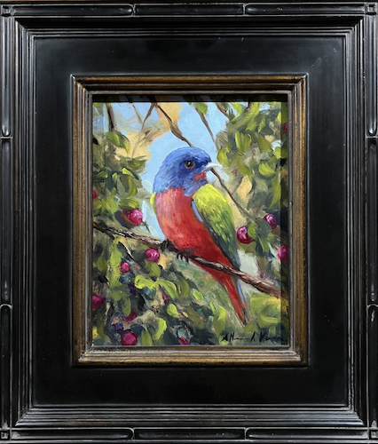 Click to view detail for Painted Bunting 10x8 $475