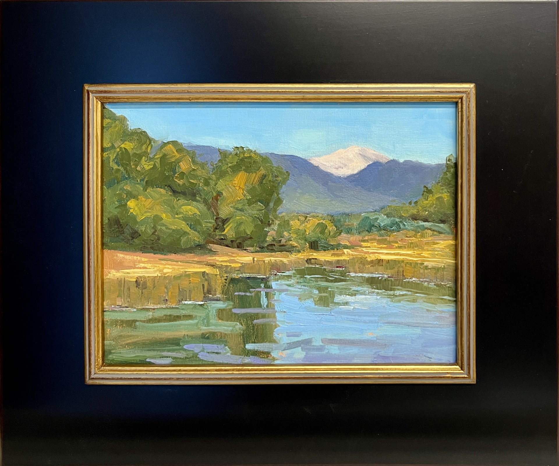 Click to view detail for Peaceful Reflections 9x12 $490