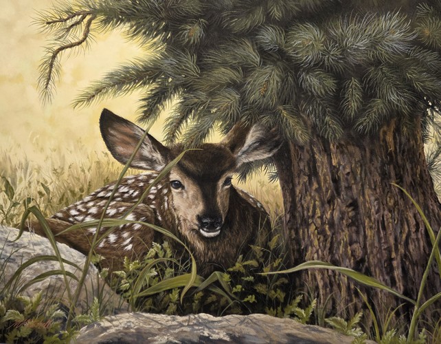 Pine Tree Lullaby 11x14 $850 at Hunter Wolff Gallery