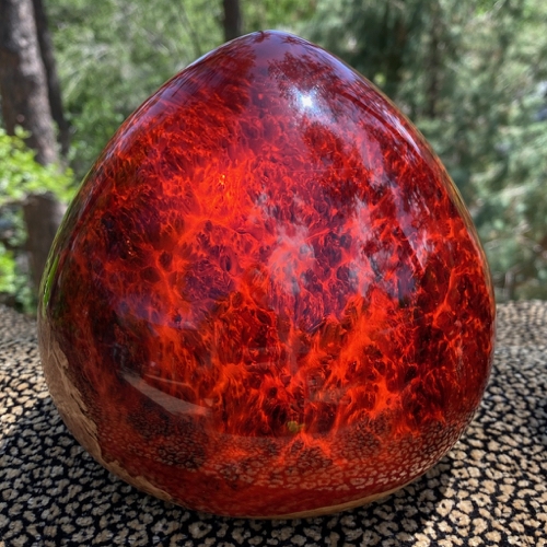 Click to view detail for SH185 Red Teardrop Red Mallee Burl $400