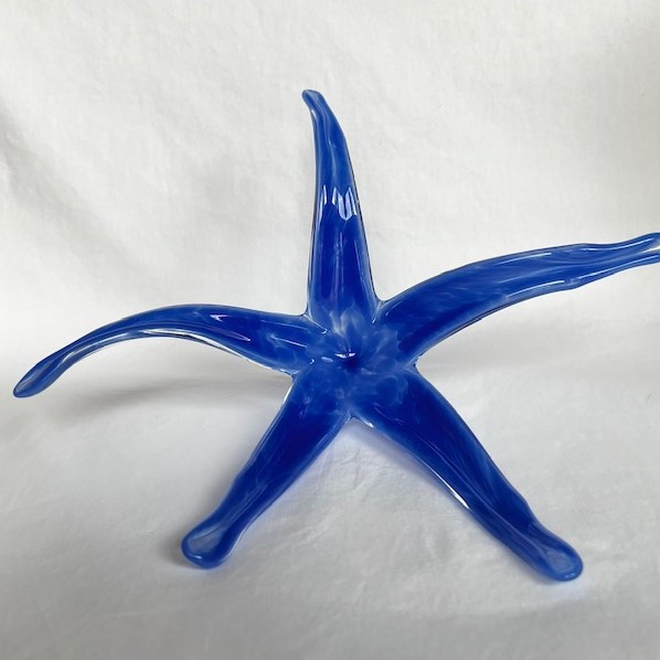 Click to view detail for DG-193 Sea Star Blue $87