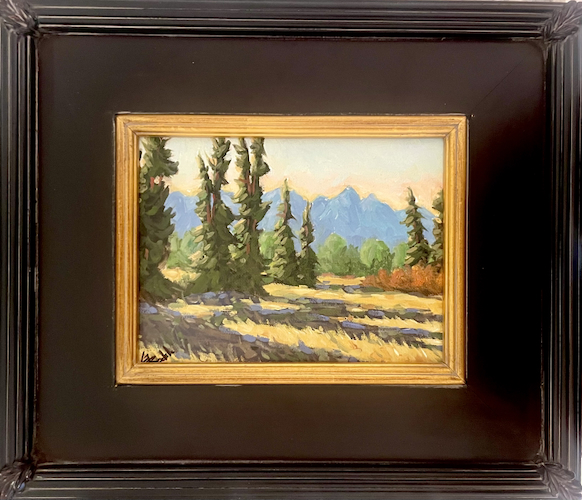 Click to view detail for Shadow Casting 6x8 $300