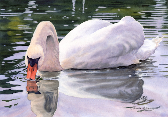 Soft Light 14x20 $2240 at Hunter Wolff Gallery