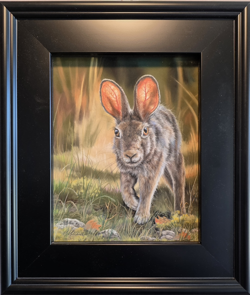 Click to view detail for Sunlit Cottontail 10x8 $550