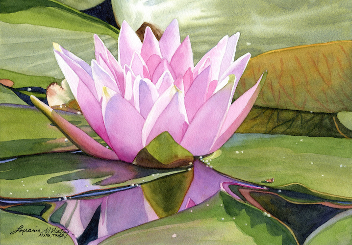 Waterlily Reflection 7x10 $490 at Hunter Wolff Gallery