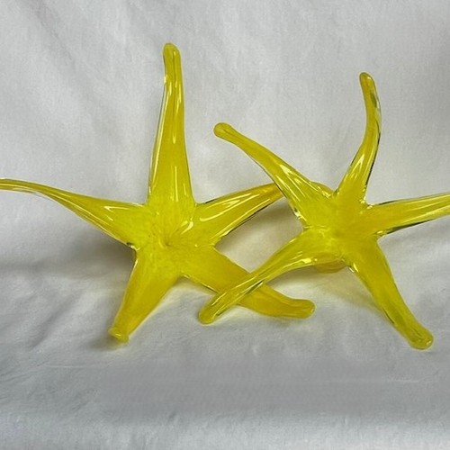 Click to view detail for DG-195 Sea Star Yellow $87