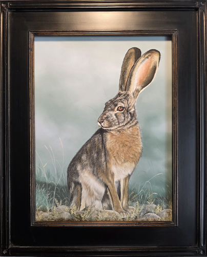 Click to view detail for Jarvis, Jack Rabbit 16x12 $1200